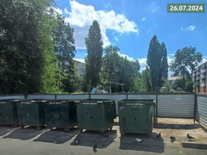 Качество вывоза мусора в центре города