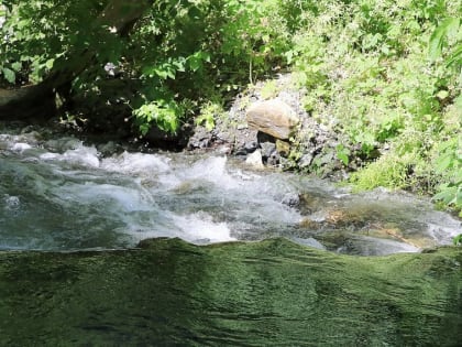 Белгородские учёные составили «карту здоровья» реки Осколец