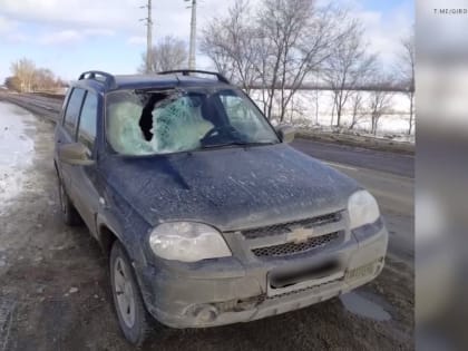 Белгородку чуть не убило куском льда, упавшим с проезжающей мимо фуры