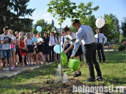 Аллея выпускников у Дворца детского творчества в Белгороде пополнилась золотистым клёном