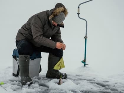 Власти РФ запланировали запуск мобильного приложения для рыбаков-любителей