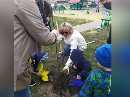 Во дворах Губкина сажают сирень