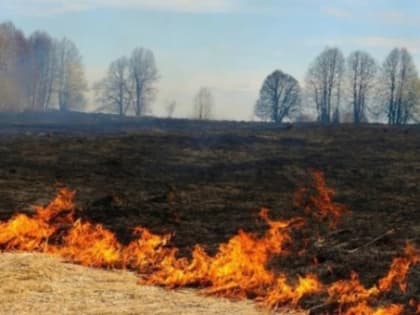 Управление Росреестра по Белгородской области предупредило об опасности пала травы осенью