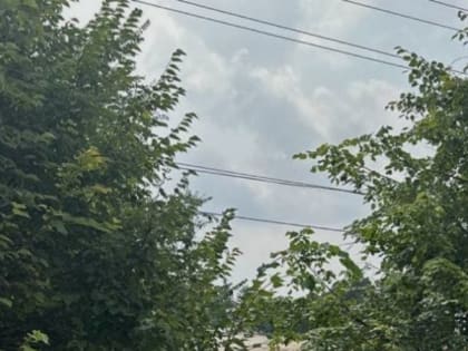 Дожди и грозы придут во вторник в Белгородскую область