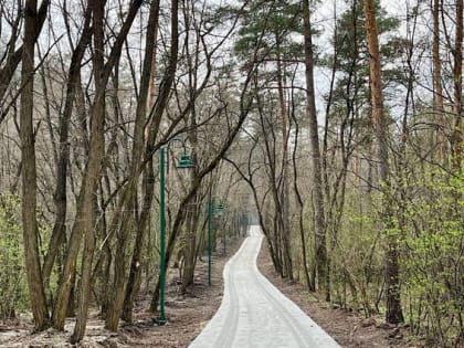 В Белгороде появится дистанция для бега на 5,5 км в Сосновке