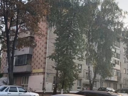 Новые инициативы в образовании Белгорода