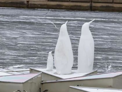 Анна Гамурак проиграла суд c «Белгорблагоустройством» по делу об арт-объекте «Калейдоскоп»