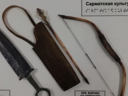 Передвижная выставка объёмно-тактильных панелей для людей с ОВЗ открылась в Яковлевском округе