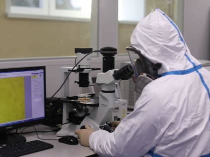 Как белгородские специалисты исследуют инфекционные болезни животных