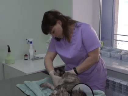 С начала года в Старом Осколе заключено 66 соцконтрактов почти на 8 млн рублей