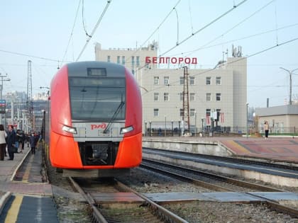 Проблемы транспортной инфраструктуры в Белгороде