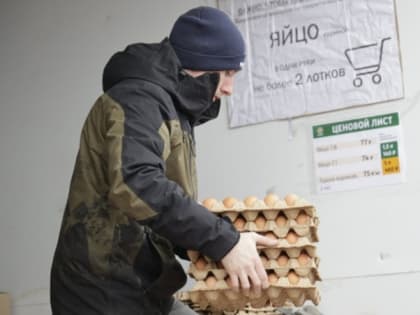 Шесть точек с куриным яйцом работали на субботней ярмарке в Белгороде