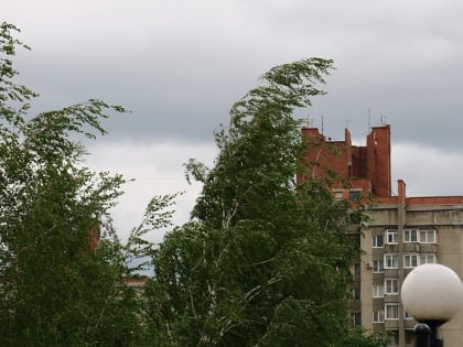 Дожди, грозы и снижение температуры обещают синоптики жителям Белгородской области