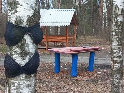 На новооскольской «Поляне невест» навели порядок после жалоб местных жителей на нижнее бельё на деревьях