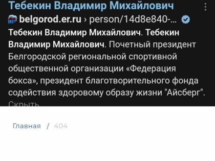 Владимира Тебекина убрали с сайта белгородского реготделения «Единой России»