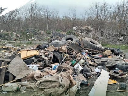 Старооскольского предпринимателя наказали за вывоз мусора на пустырь