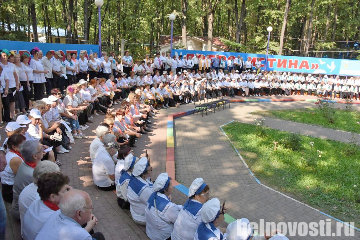 Лагерь юность белгород. Лагерь электроника Белгород. Лагеря в Белгороде. Лагерь электроник Белгород.