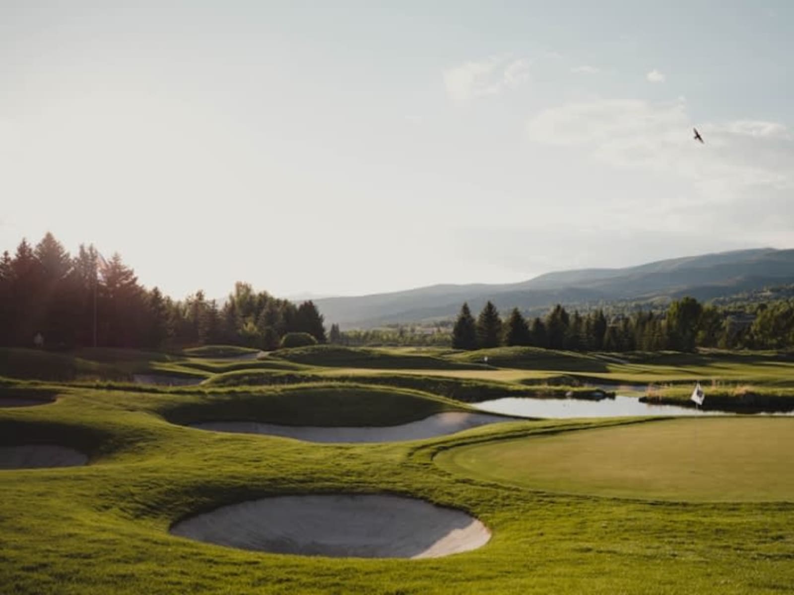 Wednesday Golf Lessons