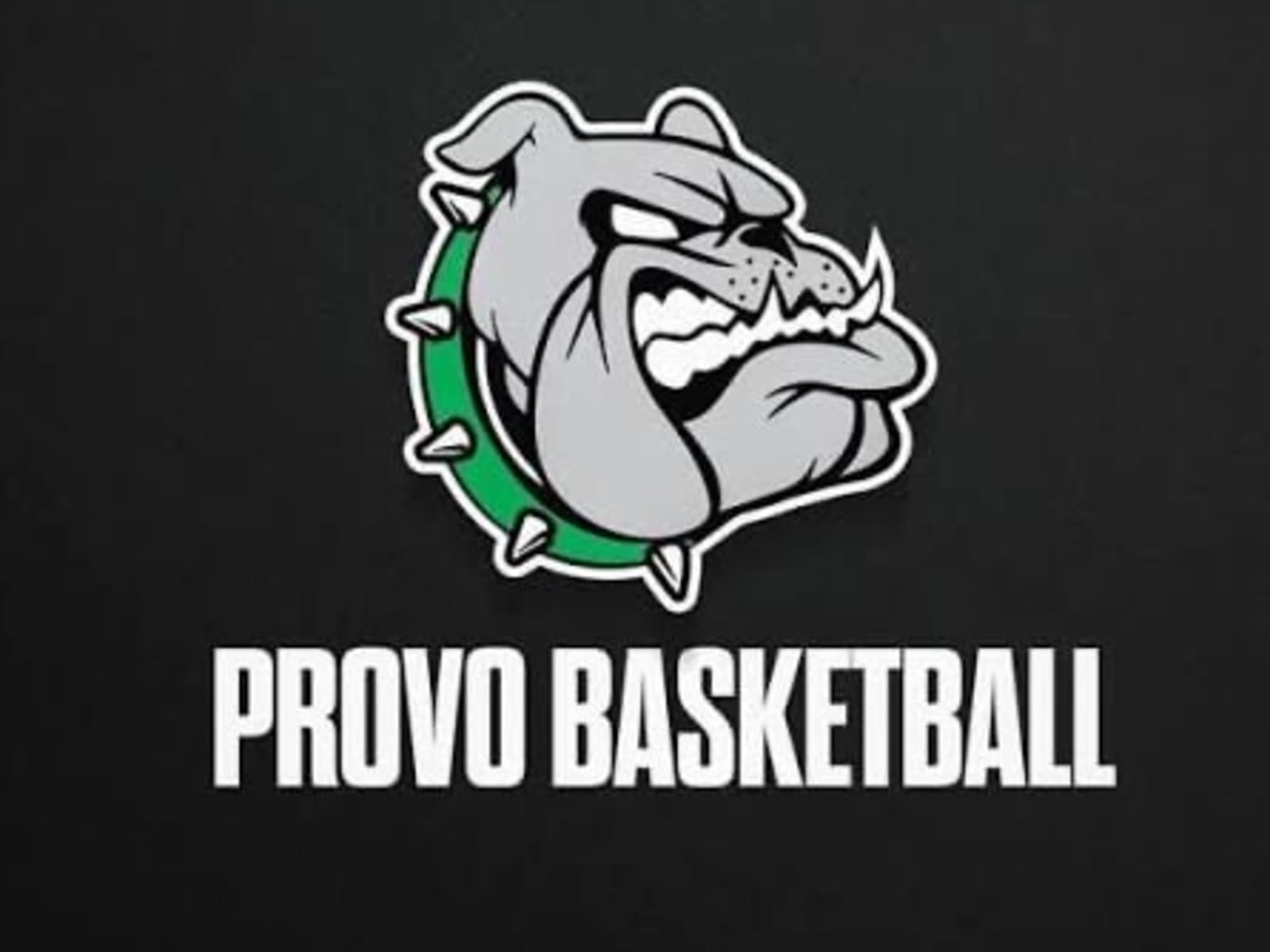 Provo High School Basketball Camp