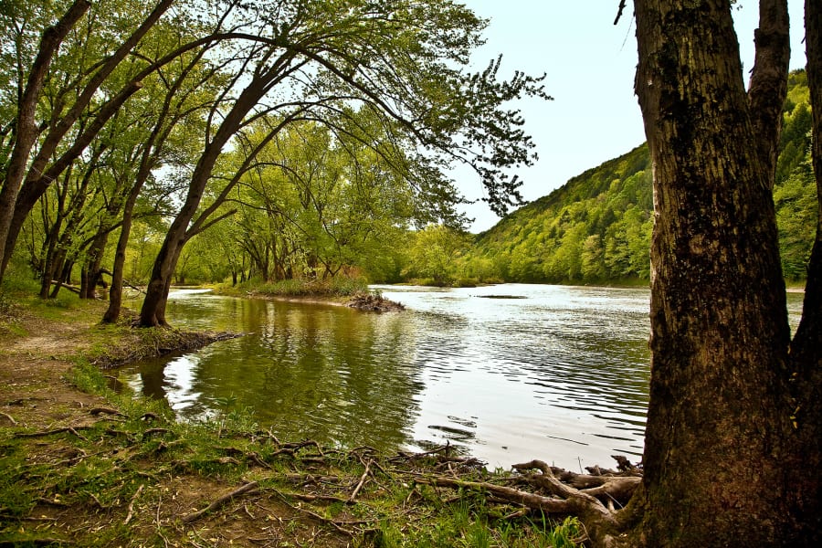 The Susquehanna River