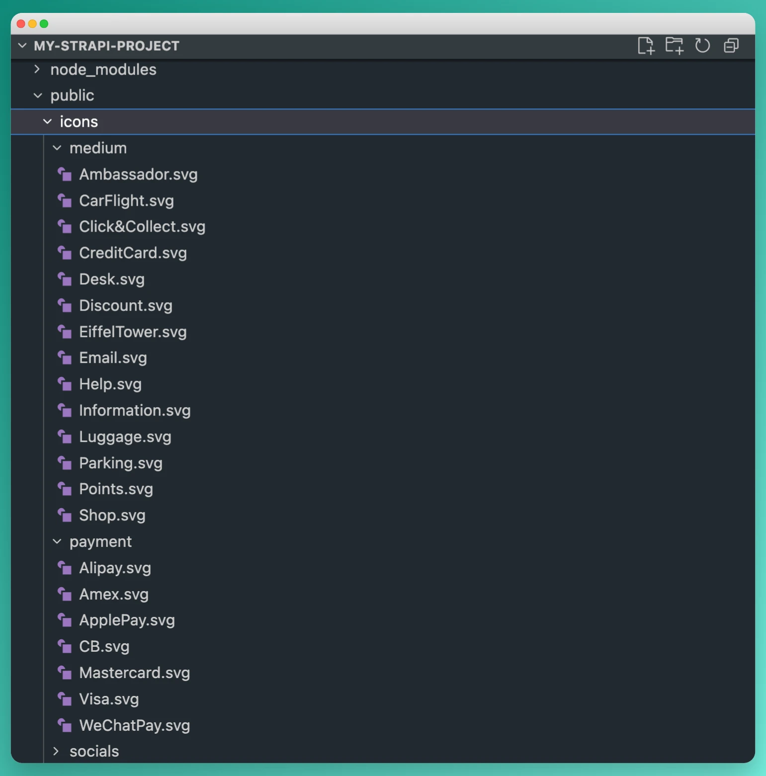 Screenshot from public folder for Strapi icons field plugin
