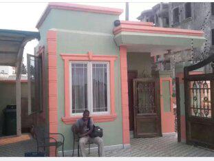 Professional window designs