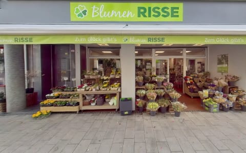 Blumen Risse – Blumen in Köln Severins-Viertel