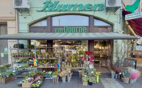Blumen van Doorne – Blumen in Köln Südstadt