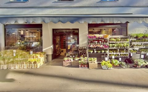 Colflor Blumendesign Sülzburgstraße – Blumen in Köln Sülz