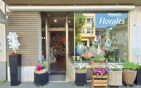Florales – Blumen in Köln Lindenthal