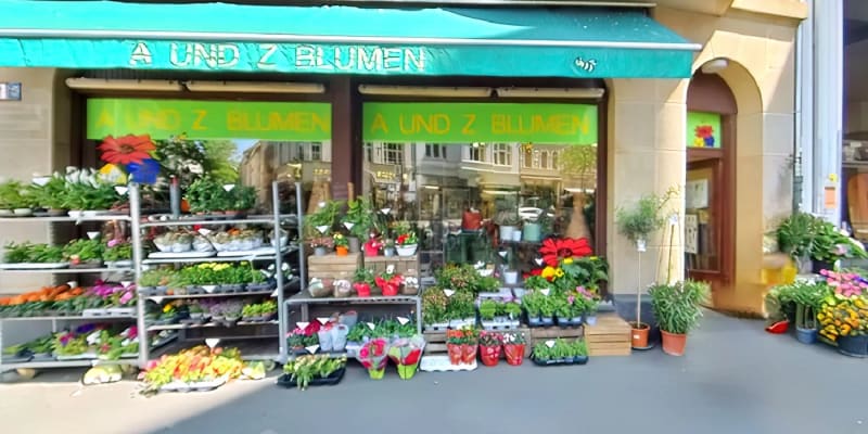 A und Z Blumen Nippes - Blumen in Nippes Köln