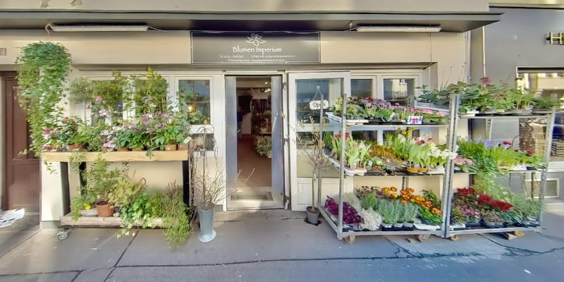 Blumen Imperium - Blumen in Sülz Köln