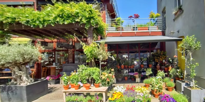 Blumen Rosinski - Blumen in Nippes Köln