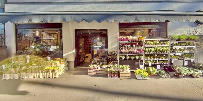 Colflor Blumendesign Sülzburgstraße - Blumen in Sülz Köln