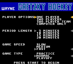 Wayne Gretzky Hockey