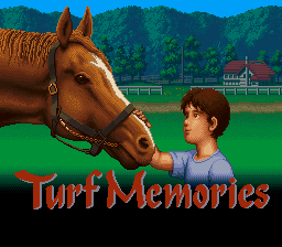 Turf Memories
