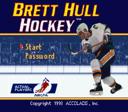 Brett Hull Hockey