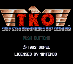 Onizuka Katsuya Super Virtual Boxing