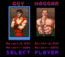 Final Fight Guy