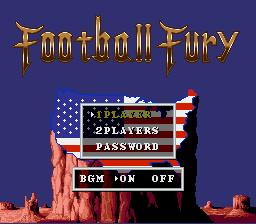 Football Fury