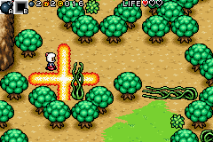 Bomberman Tournament