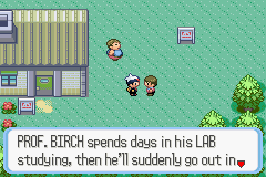 Pokemon - Ruby Version & Sapphire Version