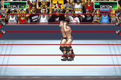 WWE - Survivor Series