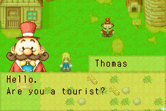 Harvest Moon - More Friends of Mineral Town