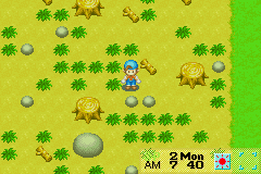 Harvest Moon - Friends of Mineral Town
