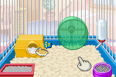 Petz - Hamsterz Life 2