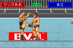 Shin Nihon Pro Wrestling Toukon Retsuden Advance
