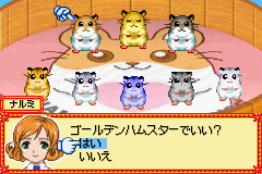Hamster Paradise - Pure Heart