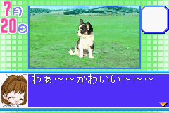 Koinu to Issho 2