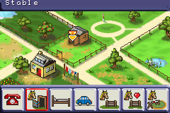 Let's Ride! - Sunshine Stables